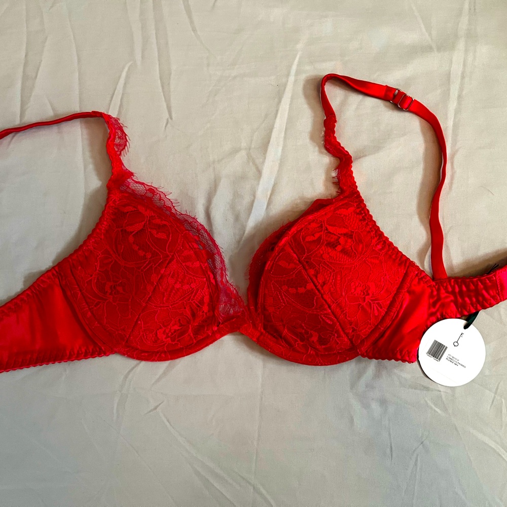 Fleur of England bra